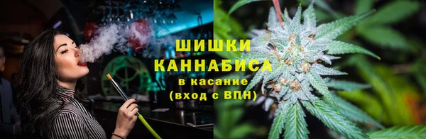 стафф Сосновый Бор