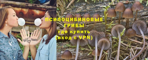 дмт Белокуриха