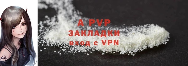 крисы Белоозёрский