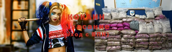 дмт Белокуриха